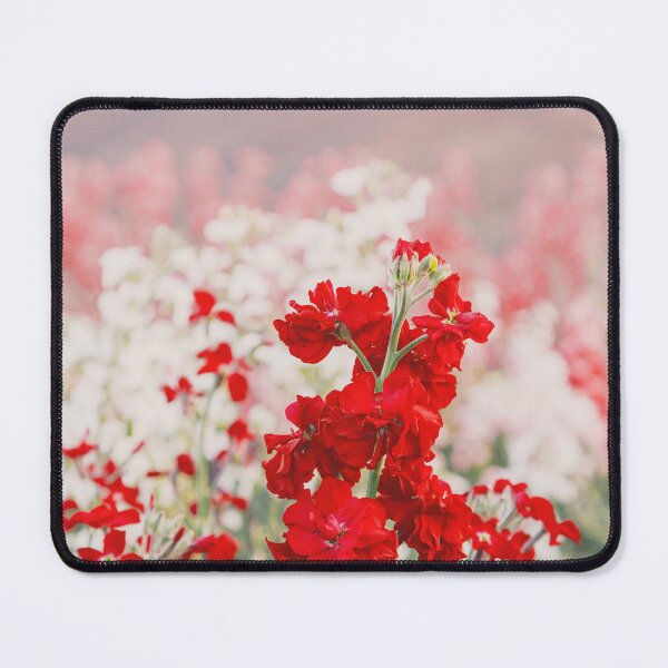 Item preview, Lompoc Stock Flower Blooms designed and sold by LBTOMA.