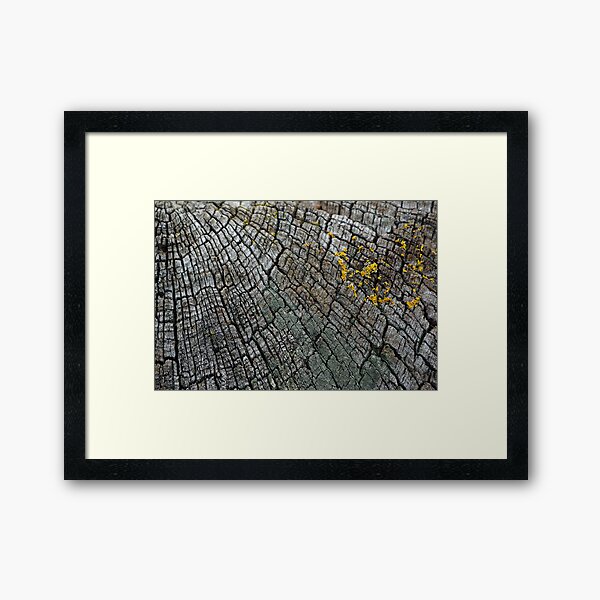 Cracked Wood Framed Art Print