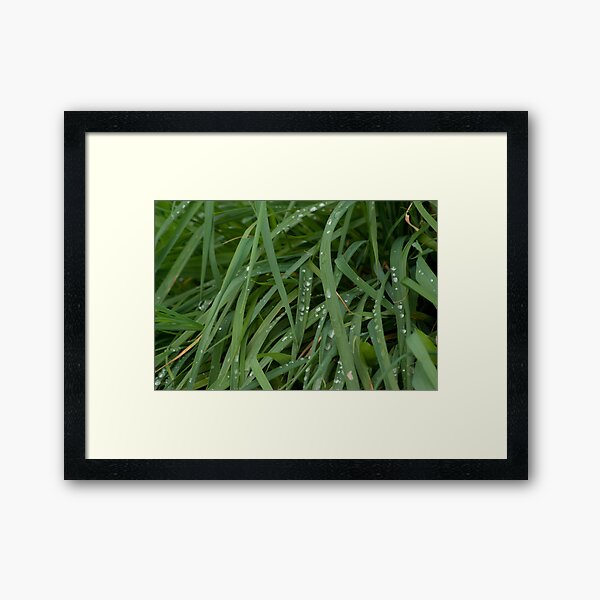 Now the Rain Has Gone Framed Art Print