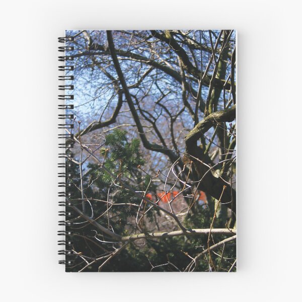 Item preview, NYC - Central Park - with "The Gates" 2005 designed and sold by Hell-Prints.