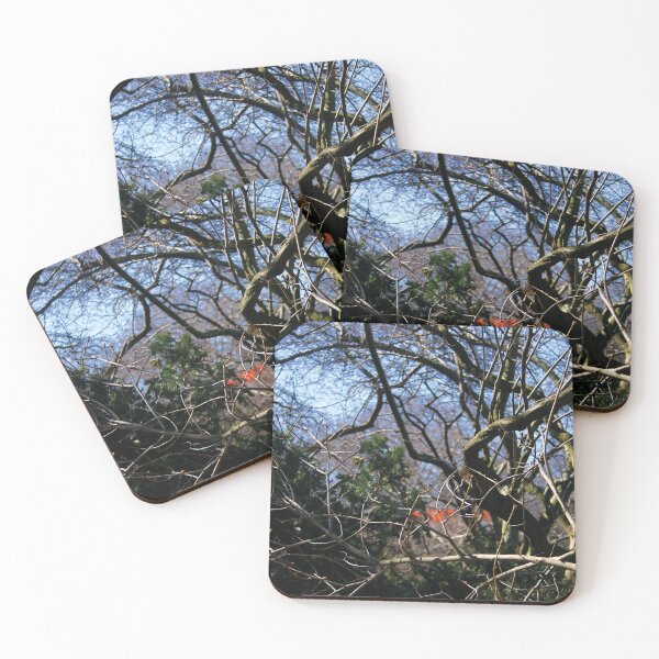 Item preview, NYC - Central Park - with "The Gates" 2005 designed and sold by Hell-Prints.