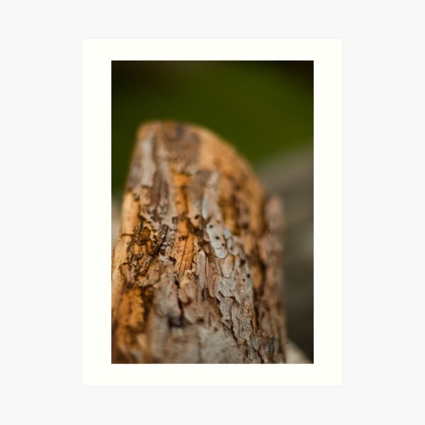 Log Art Print
