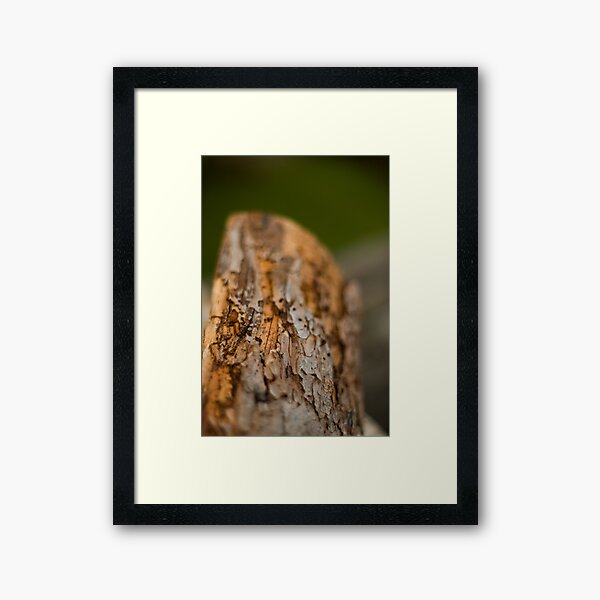 Log Framed Art Print