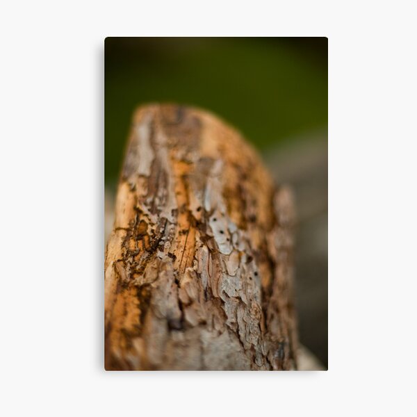 Log Canvas Print