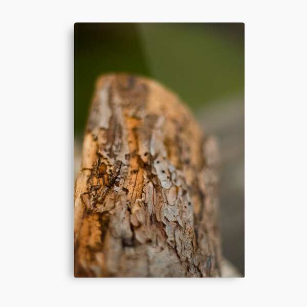 Log Metal Print