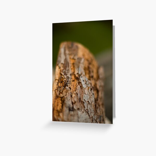 Log Greeting Card