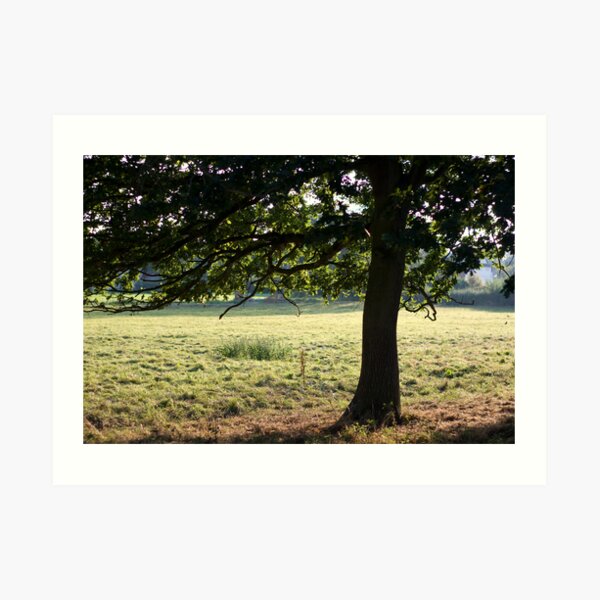 Cow Tree Art Print
