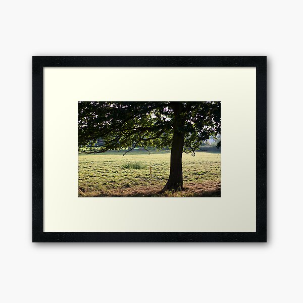 Cow Tree Framed Art Print