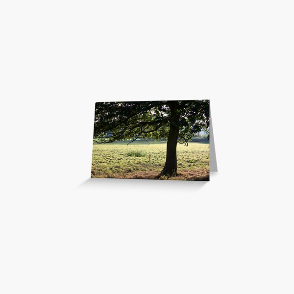 Cow Tree Greeting Card
