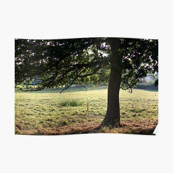 Cow Tree Poster