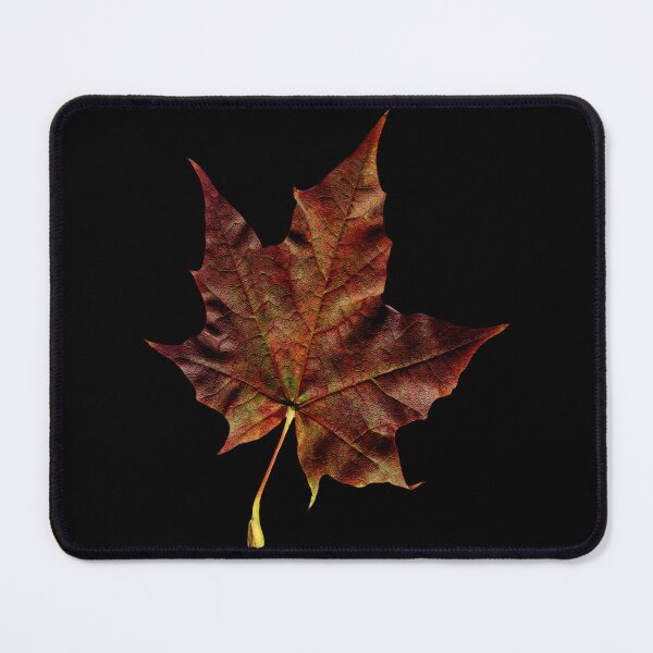 Item preview, Maple leaf Autumn, Orange Maple Leaf designed and sold by CODYEDDINS.