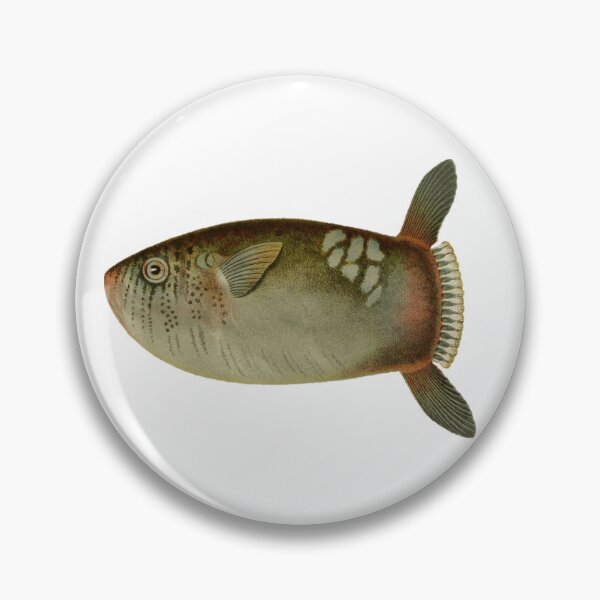 Item preview, Sunfish designed and sold by BelleZeare.