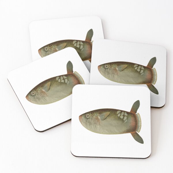 Item preview, Sunfish designed and sold by BelleZeare.