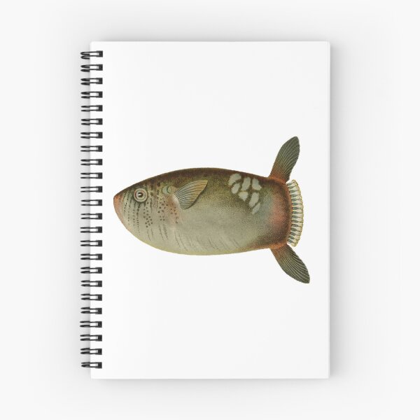 Item preview, Sunfish designed and sold by BelleZeare.