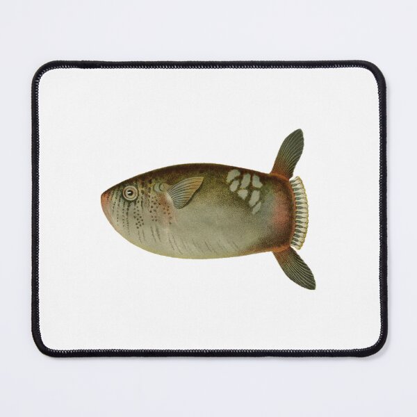 Item preview, Sunfish designed and sold by BelleZeare.