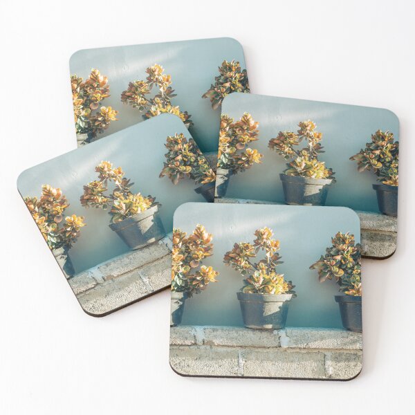 Item preview, Succulents in pots designed and sold by Sansaranna.