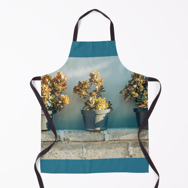 Item preview, Succulents in pots designed and sold by Sansaranna.