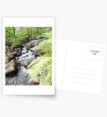Enchanted Forest - Cheering On The Race Postcards