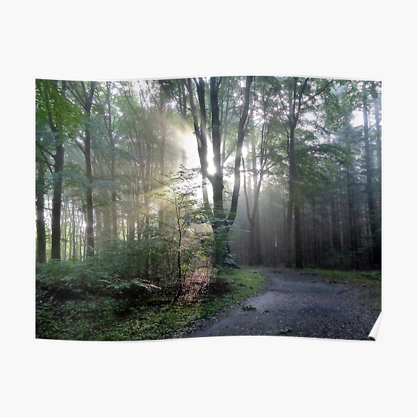 When the light guides my way Poster
