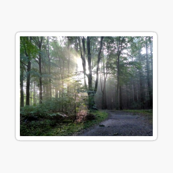 When the light guides my way Sticker