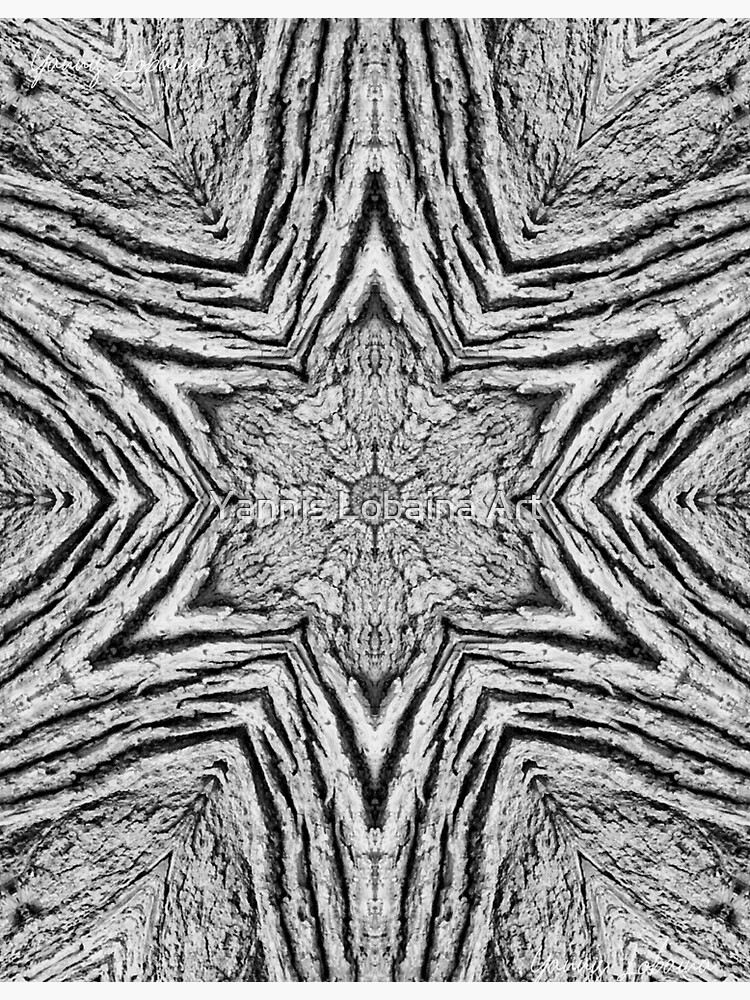PATTERNS AND TREES BY YANNIS LOBAINA by lobaina1979
