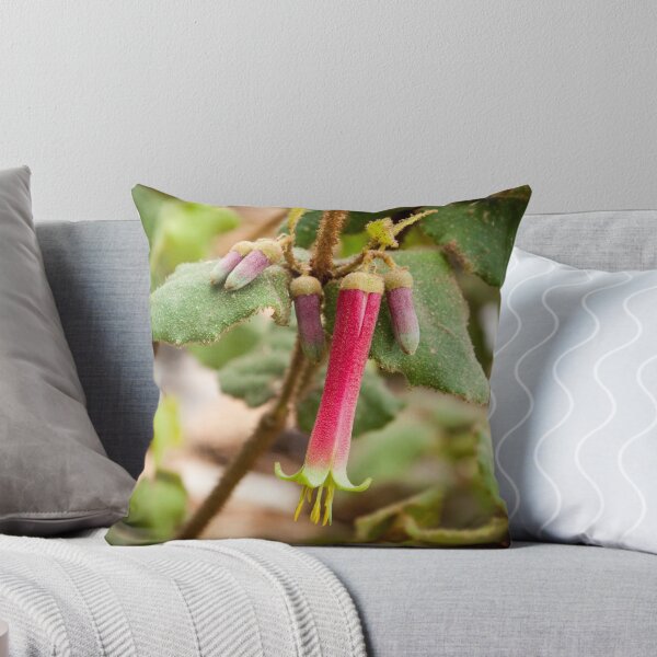 Item preview, Common Correa 1 designed and sold by pcbermagui.