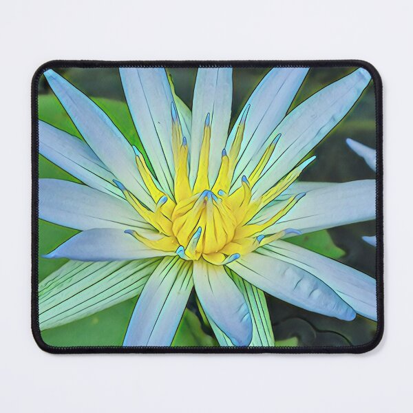 Item preview, Tropical Waterlily and Lilypads designed and sold by TastyTonic.