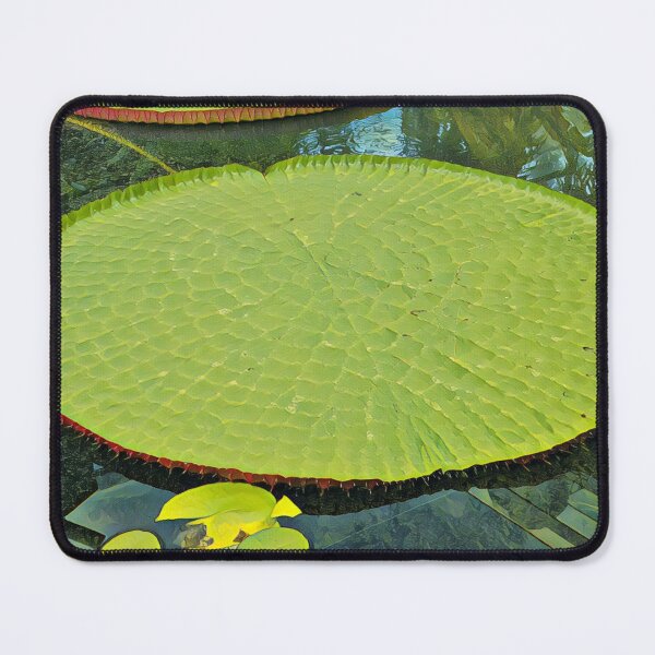 Item preview, Giant Lilypad on the water designed and sold by TastyTonic.