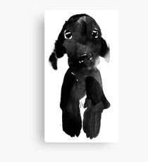 black dog Canvas Print