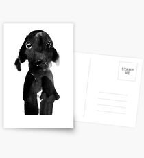 black dog Postcards