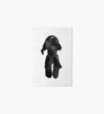 black dog Art Board