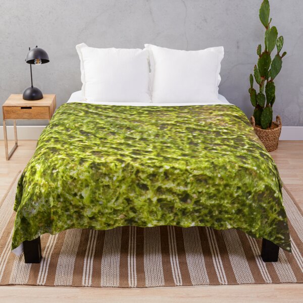 Item preview, Seaweed - Sri Lanka- East designed and sold by Hell-Prints.