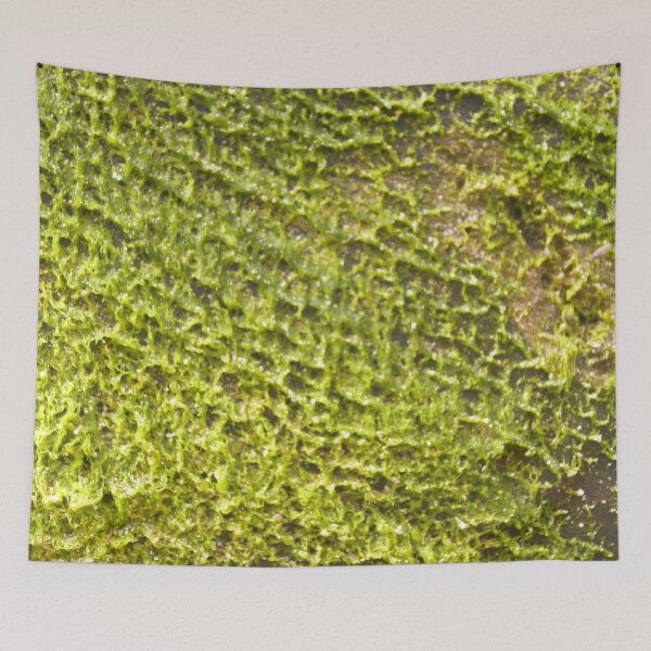 Item preview, Seaweed - Sri Lanka- East designed and sold by Hell-Prints.