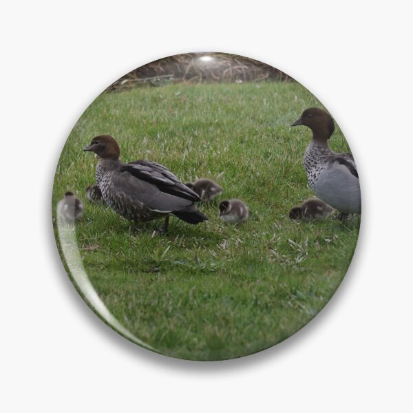 Item preview, Ducklings and parents at Lake Wendouree designed and sold by charlienelson.
