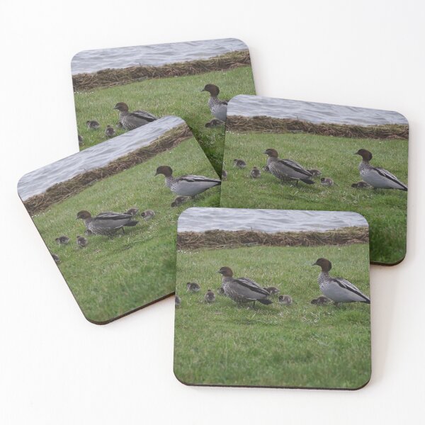 Item preview, Ducklings and parents at Lake Wendouree designed and sold by charlienelson.