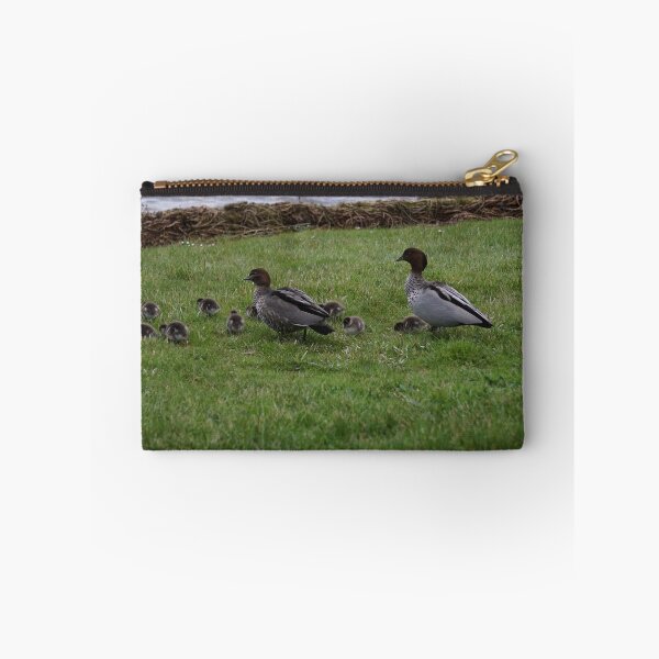 Item preview, Ducklings and parents at Lake Wendouree designed and sold by charlienelson.