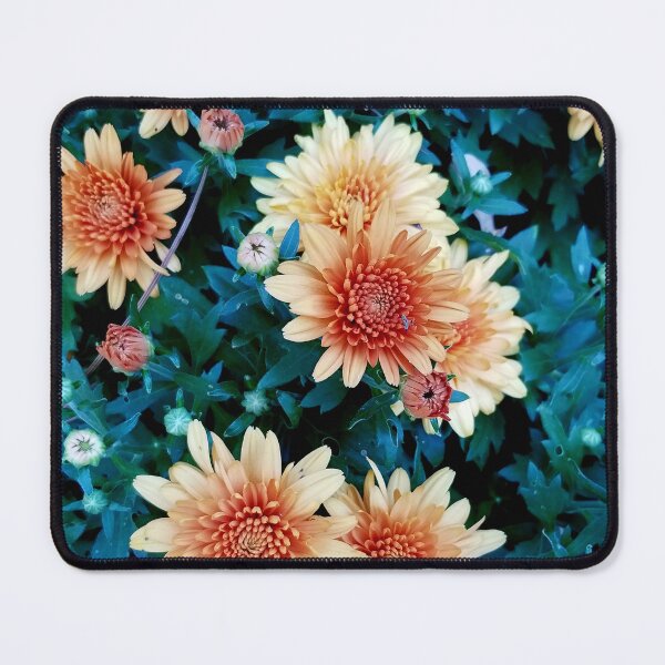 Item preview, Chrysanthemum Flowers In Yellow And Orange designed and sold by Heathermarie321.