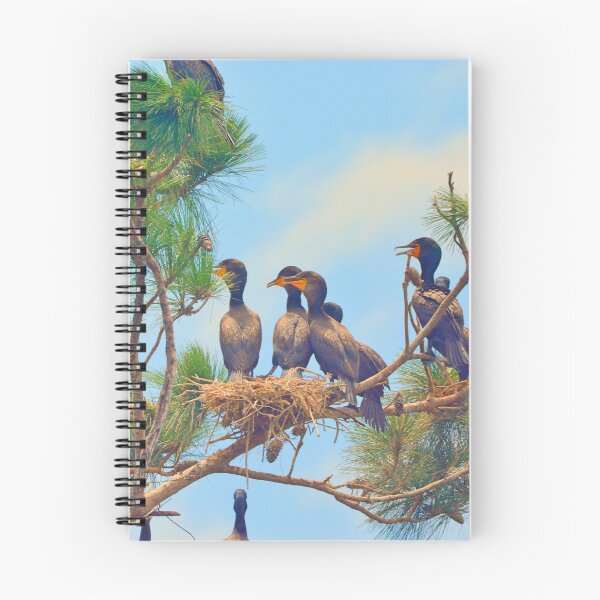 Item preview, Cormorants Hanging Out designed and sold by LisaWootenPhoto.