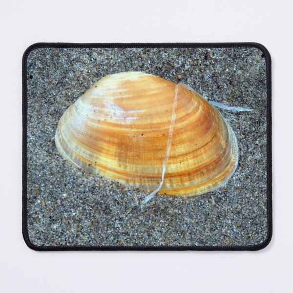 Item preview, shell designed and sold by KathleenDawson.