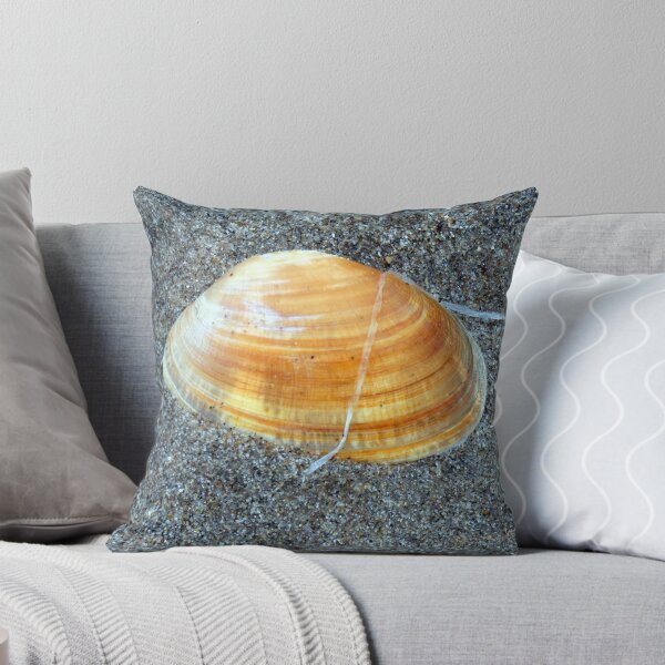Item preview, shell designed and sold by KathleenDawson.