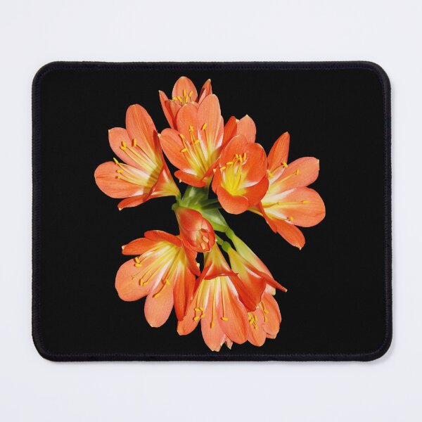 Item preview, Orange Lily of the Incas Flower, flowers flowers designed and sold by CORYNKOSER.