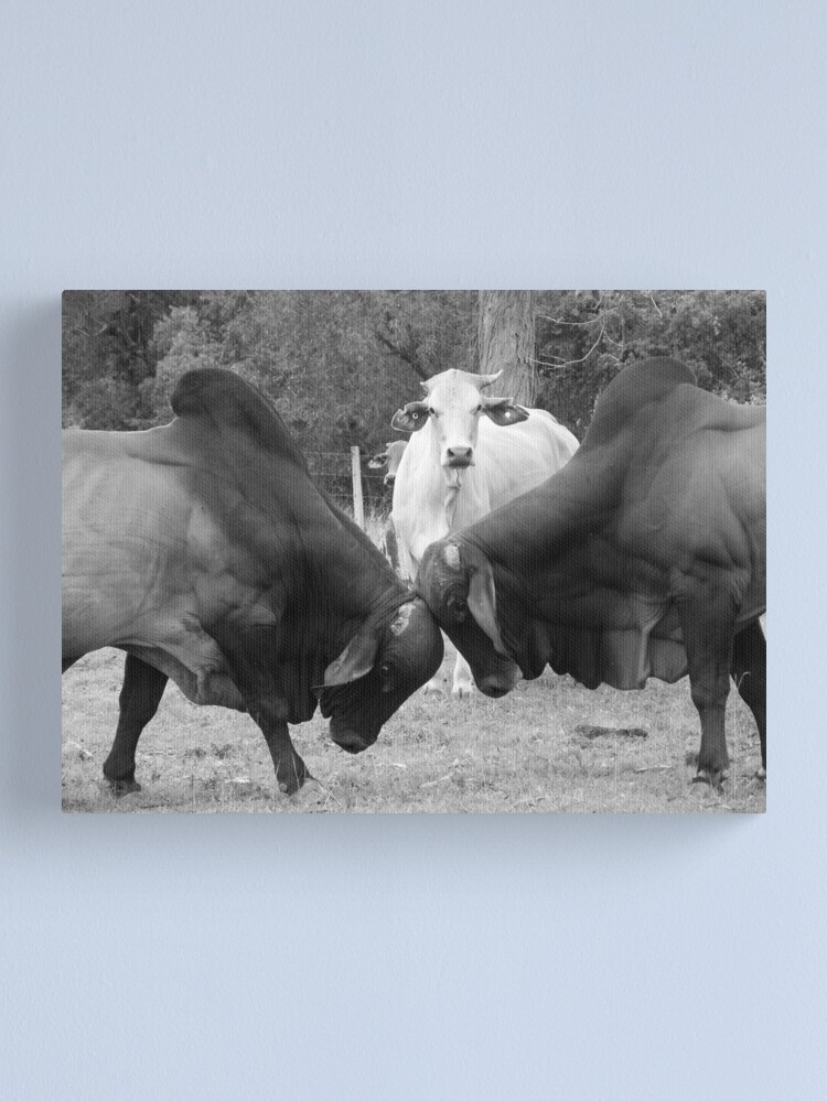Thumbnail 2 of 3, Canvas Print, The Referee designed and sold by theoddshot.