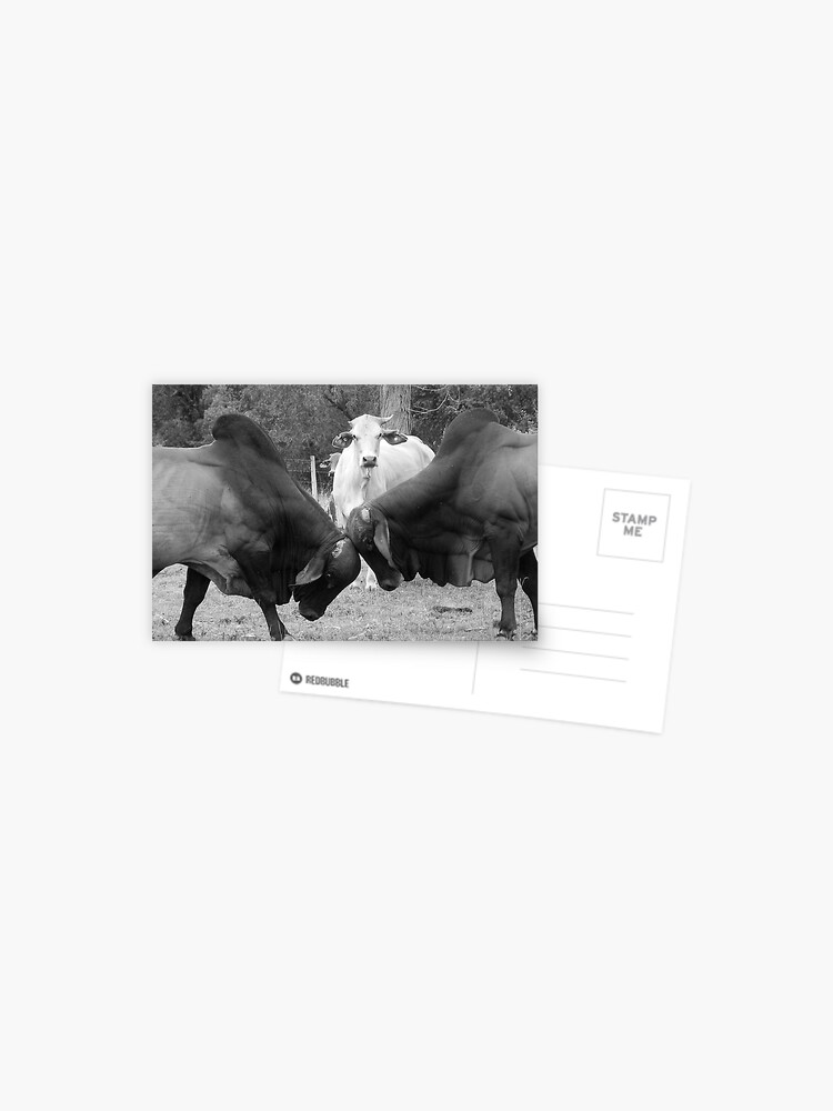 Thumbnail 1 of 2, Postcard, The Referee designed and sold by theoddshot.