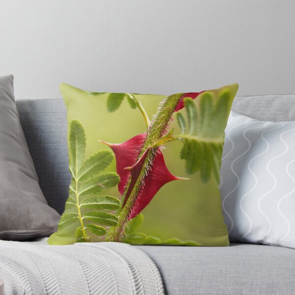 Item preview, Spines of Rosa omeiensis. designed and sold by Zosimus.