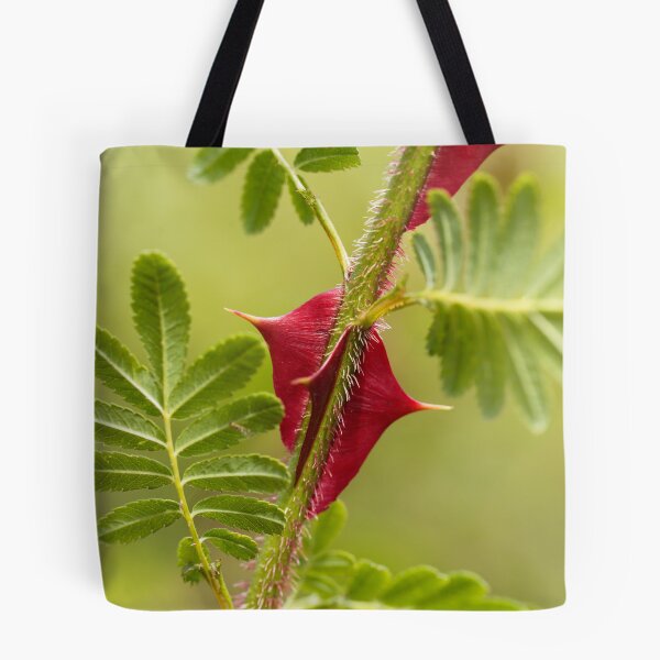 Item preview, Spines of Rosa omeiensis. designed and sold by Zosimus.