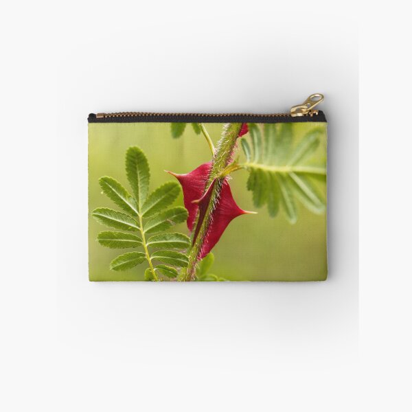 Item preview, Spines of Rosa omeiensis. designed and sold by Zosimus.