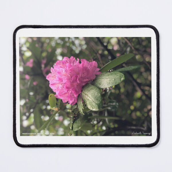 Item preview, Blooming Pink Flower | Photography | Gift Idea | Cute Decor designed and sold by GabrieTaylor.