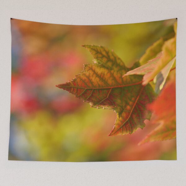 Item preview, Autumn leaf designed and sold by jsebouvi.
