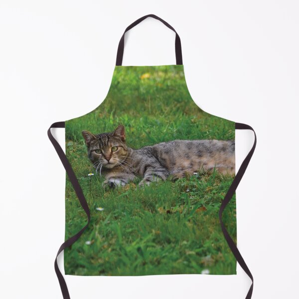 Item preview, Hello Everybody, my name is Spark. designed and sold by Nerone.