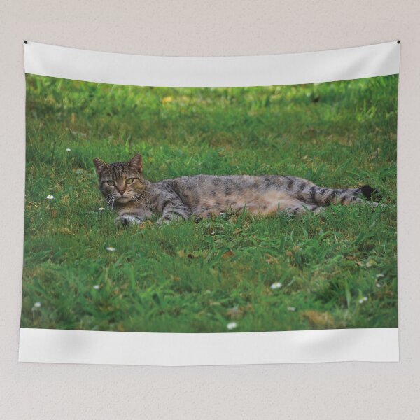 Item preview, Hello Everybody, my name is Spark. designed and sold by Nerone.